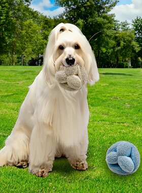 跨境新品Snuffle Ball鼻塞球宠物狗狗啃bb叫发声毛绒玩具咬不烂