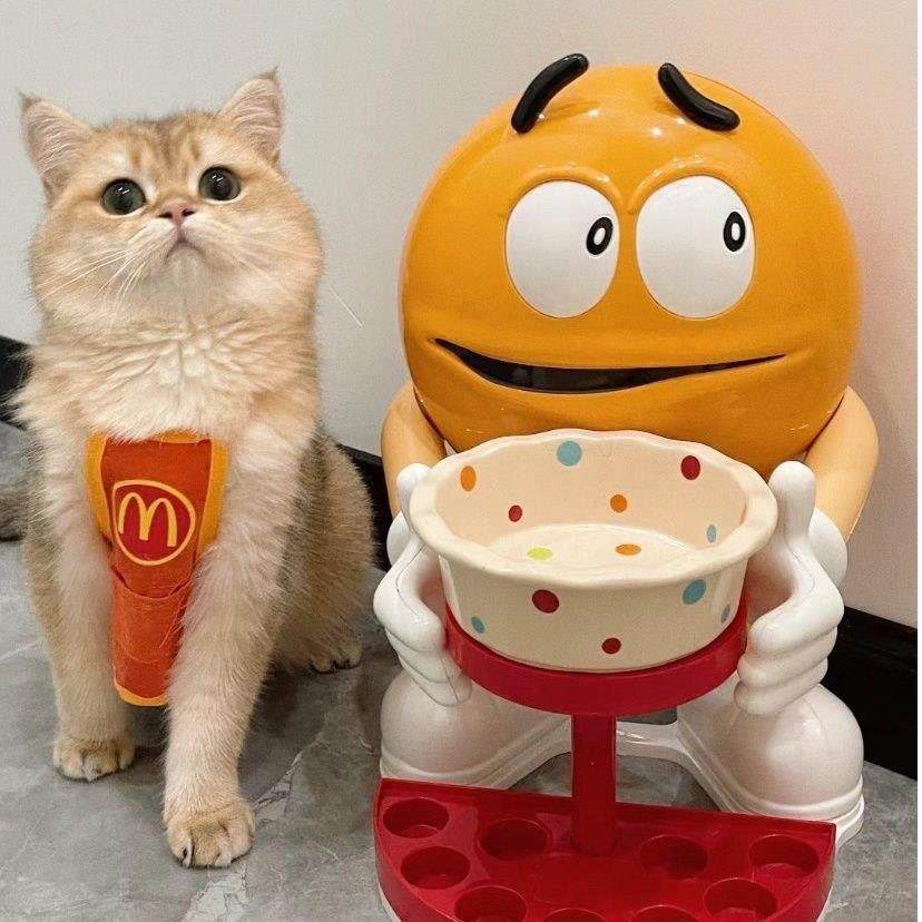 m豆人摆件猫碗猫粮宠物置物架碗架摆设货架玩偶支架摆件家居装饰,宠物/宠物食品及用品,宠物智能碗,淘宝优惠券,粉丝福利购,淘宝优惠卷