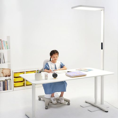 德国柏曼全光谱骑士落地灯 学生学习阅读书房儿童房护眼大路灯