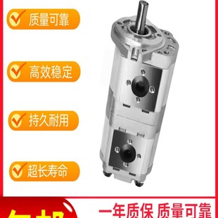 CFHL油泵CBWL E310 E320 AFP 洗扫车油泵 CBWL 双联泵 E316