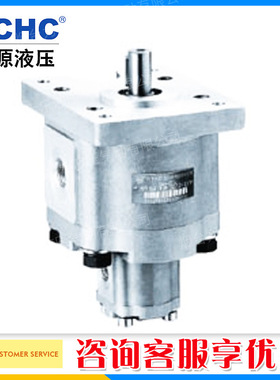 合肥长源CBQW-F520/E204CLP双联齿轮油泵大小排量咨询客服更优惠