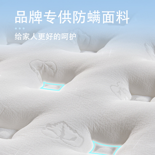 床垫15cm厚卧室家用席梦思弹簧可订制软硬钢丝高护腰椰棕乳胶老人