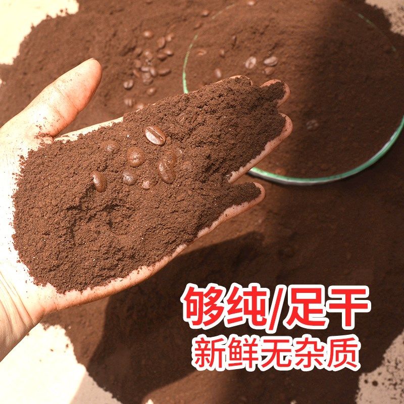 咖啡渣除味 新房去甲醛 除异味烟灰缸灭烟除臭活性炭包磨砂膏干渣