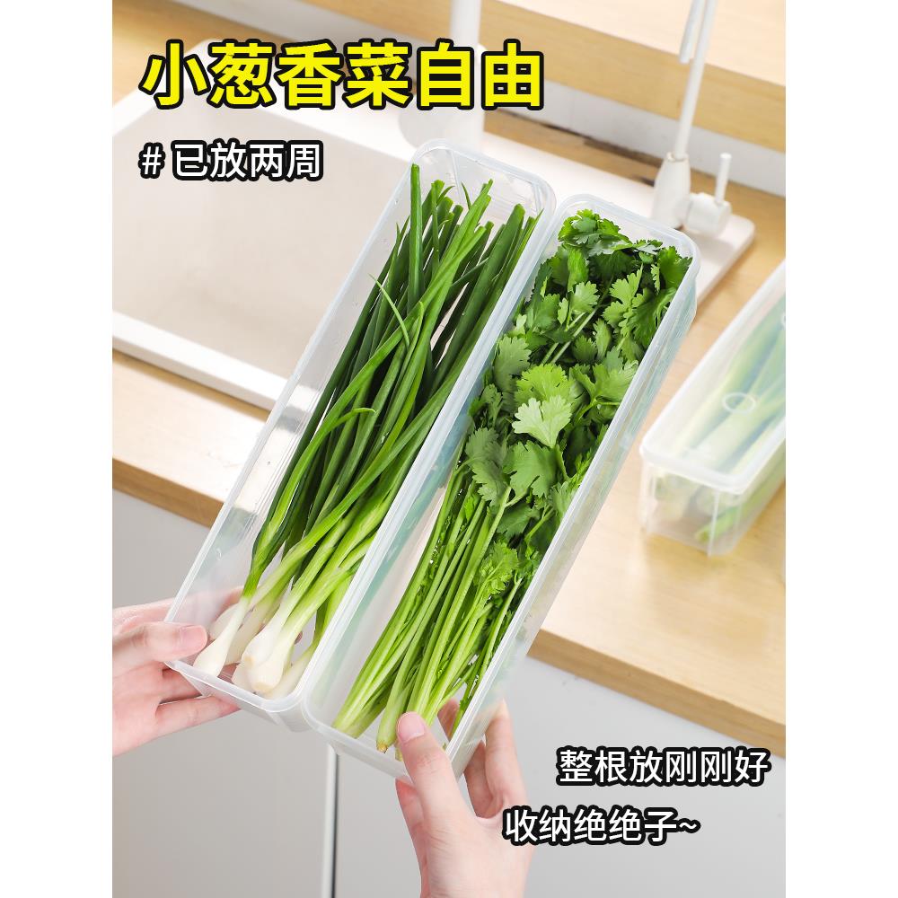 保鲜盒食品级大小葱香菜芫荽整根姜蒜面条鸡蛋收纳整理盒冰箱专用