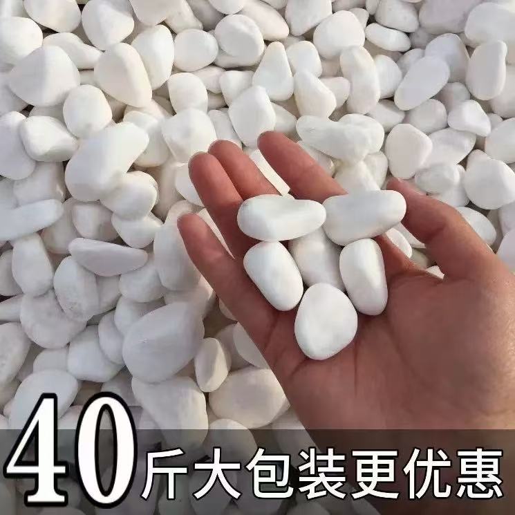 白色石子天然白石子庭院铺路鹅卵石颗粒小白石头阳台造景景观砾石