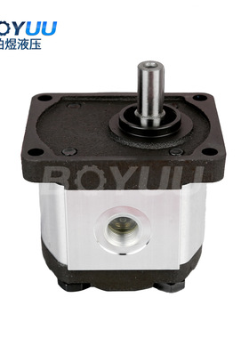 意大利罗茨02ZAG齿轮泵  用于农业设备 工业制造