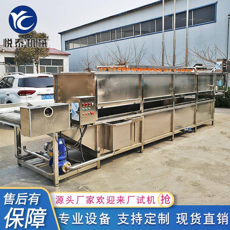 全自动喷淋火龙果气泡清洗机青豌豆清洗设备大型果蔬清洗线