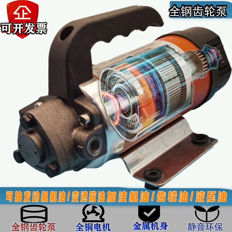 4S汽车保养泵 220V高压抽油泵12V电动 机油泵 加齿轮油 正反抽