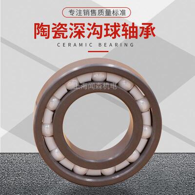 进口不锈钢混合陶瓷轴承6004 6005 6006 6007 6008HCZZ2RS