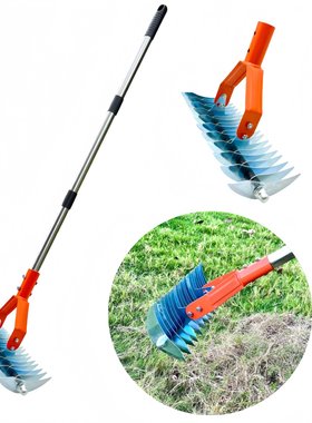 可拆卸草坪枯草耙 茅草耙 园林落叶耙松土器 土壤耙Thatch Rake