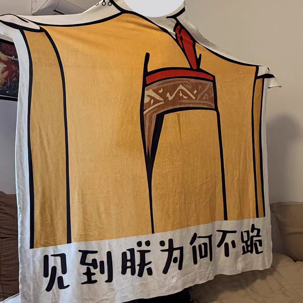 谁懂拥有这个毛毯的含金量啊！