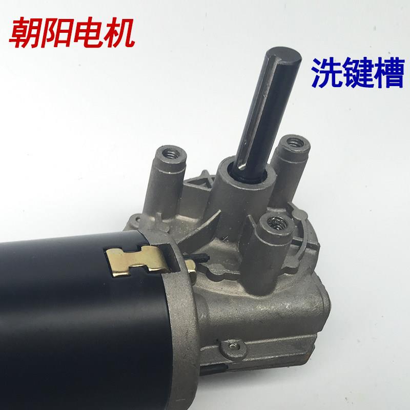 朝阳电机蜗轮蜗杆电机自锁12v/24v直流减速电P机铜涡Y轮出轴洗键
