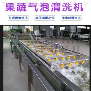 泡蔬菜气清洗机 福煦BJH水清洗设备青椒西红果柿清洗机