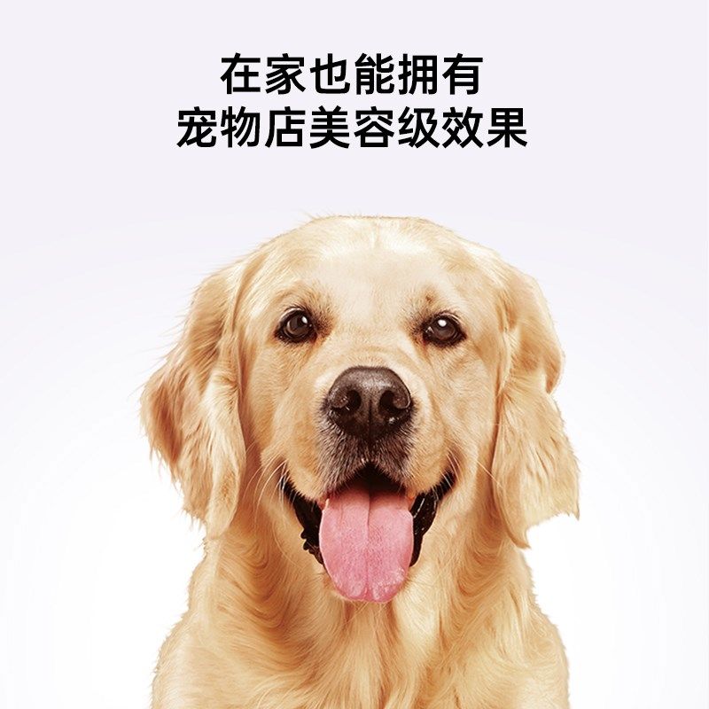 【国补15%】小红栗狗狗吹水机宠物专用洗澡烘干吹风机吹吸一体,宠物/宠物食品及用品,吹水机,淘宝优惠券,粉丝福利购,淘宝优惠卷