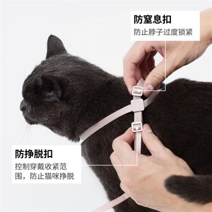 BuddyArmor超轻牵引绳防挣脱胸背带套装宠物外出手腰牵舒适遛猫绳