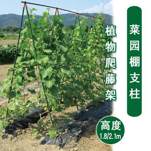 爬藤架架子爬藤种菜搭架黄瓜菜园支架支伸缩杆棚架户外蔬菜花攀爬