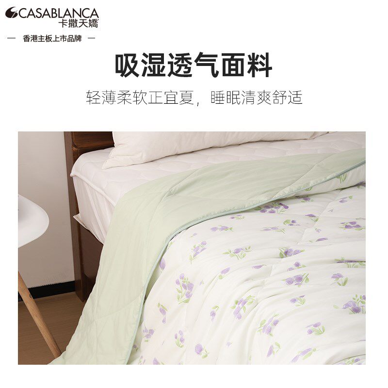 卡撒天娇2025新款超柔丝棉被芯春秋被夏被柔软亲肤被子被芯单人