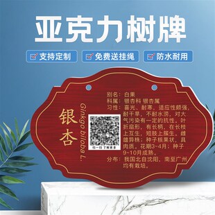 订制树牌不锈钢花草牌植树节植物挂牌压克力标牌认养树木介绍标识