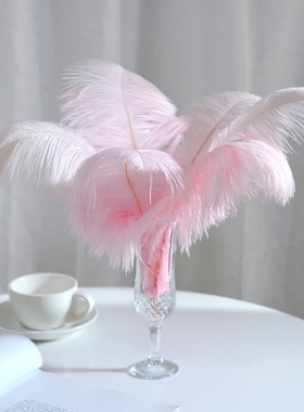轻奢风羽毛装饰摆件家居客厅女生卧室梳妆台粉色高级感法式摆设