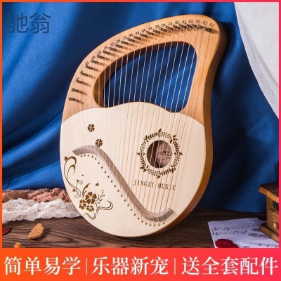 znM莱雅琴小竖琴24弦箜篌小众乐器21弦便携式小众乐器初学者简
