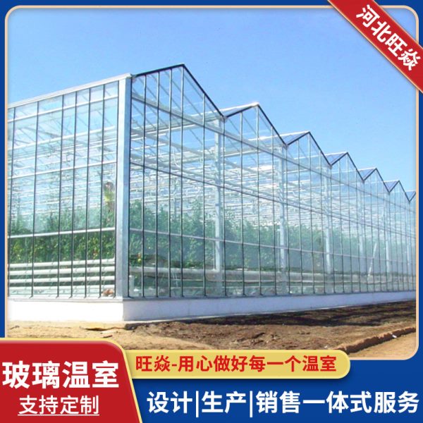 玻璃温室大棚蔬菜花卉养殖暖棚现化农业种植温室安装骨架大棚