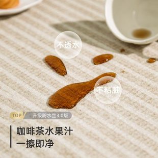 免洗可擦奶油风免打理高级沙发茶几卧室阳台地垫 地毯客厅2024新款