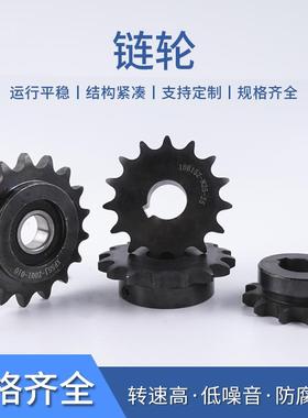 传动用45#钢链轮+链条 SP25B系列 SP25B34-S-10 SP25B34-N-10