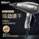 瑞士Valera吹风机家用负离子护发理发店发廊专用电吹风大功率风筒