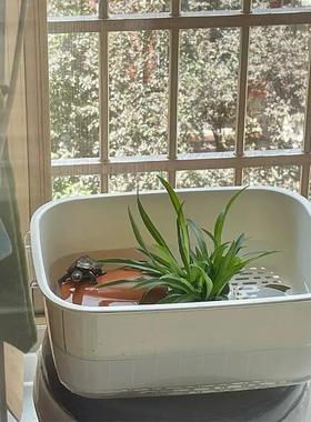 乌龟饲养缸盆沥水篮躲避屋家用桌面小型巴西龟晒台鱼缸换水方便