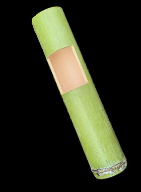 新鲜竹筒花器花瓶国风摆件插花花艺环创道具特色新中式绿色竹子