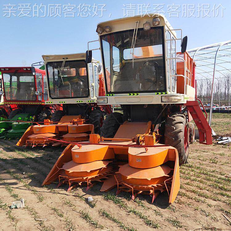 青粉LQK储碎青型机 小麦储机 自卸式青储机 多种号