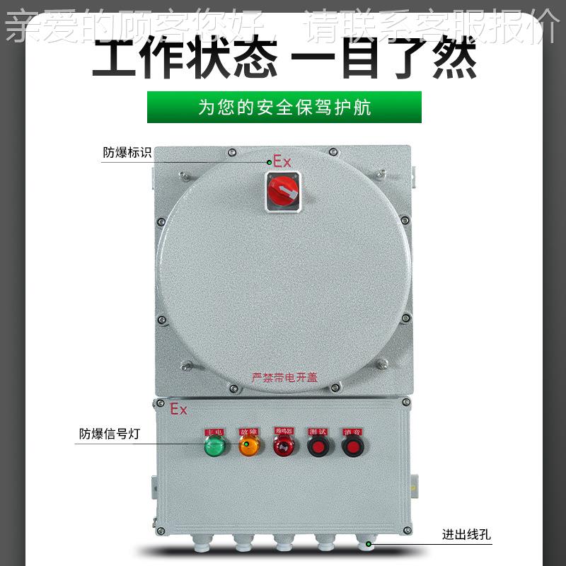 电厂家防爆消防应急照明配配电箱61KV柜IP6防爆配电装置