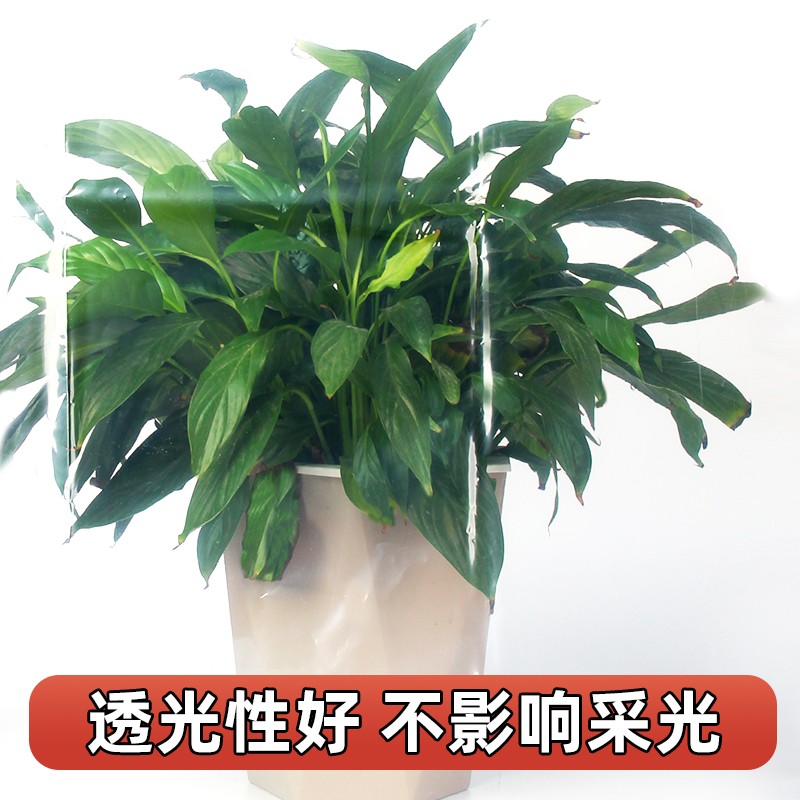 窗户密封条挡风神器o防风保暖封门窗双层保温膜冬季防寒加厚塑料