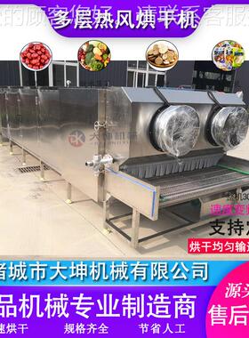 隧道式西WMI梅干备烘机 杏干多层热风干烘干设 干果五层干烘流水