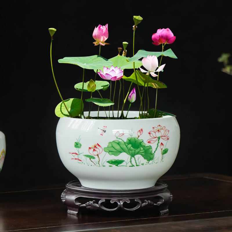 大号碗莲一叶莲水培缸睡莲专用花盆家用水培植物无孔陶瓷盆带托盘