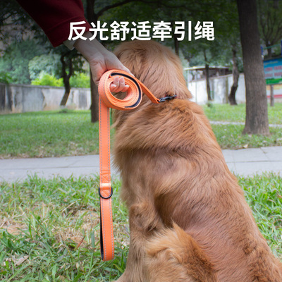 狗狗反光牵引绳 中型大型犬秋田金毛遛狗绳 夜间反光外出牵引带