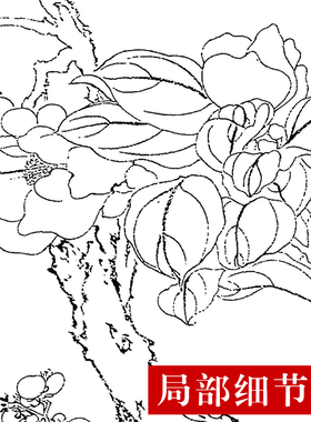 CQ37工笔画白描打印底稿 恽寿平-百花图卷(全卷)临摹练习线描