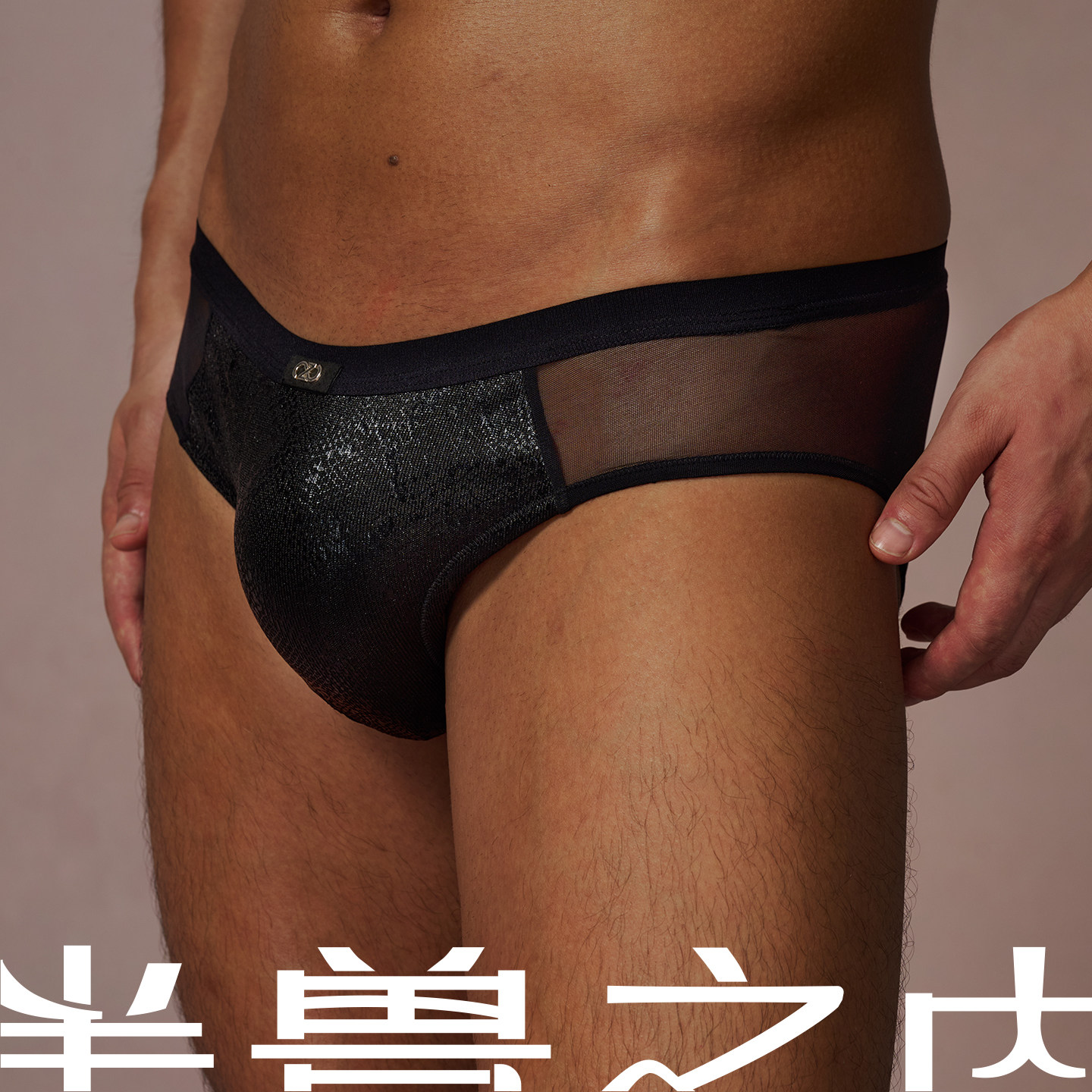 半兽之内野性呐喊男士性感透视蛇纹内裤显大纯欲网纱拼接三角裤,女士内衣/男士内衣/家居服,男丁字裤,淘宝优惠券,粉丝福利购,淘宝优惠卷