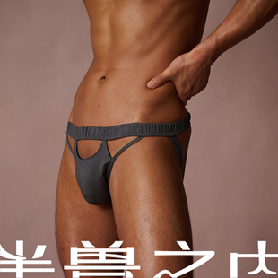 半兽之内智性依存网眼西装镂空双丁男士内裤性感禁欲系丁字裤抗菌