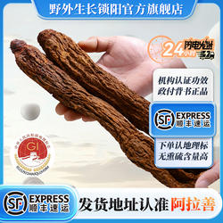 内蒙古阿拉善锁阳中药材正品官方旗舰店整根肉苁蓉淫羊藿固精枸杞