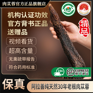 内蒙古阿拉善肉苁蓉中药材正品官方旗舰店软性油苁蓉整根送淫羊藿