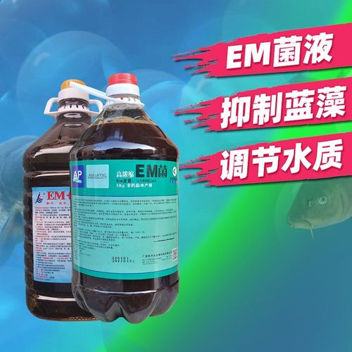 广州精博EM调水王水产em菌芽孢杆锦鲤鱼药池硝化细菌光合细菌调水