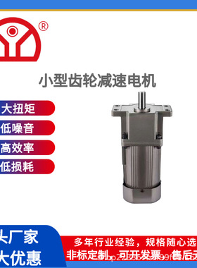 东宇微型小型立式齿轮减速电动机IK/RK齿轮减速箱源头厂家直销