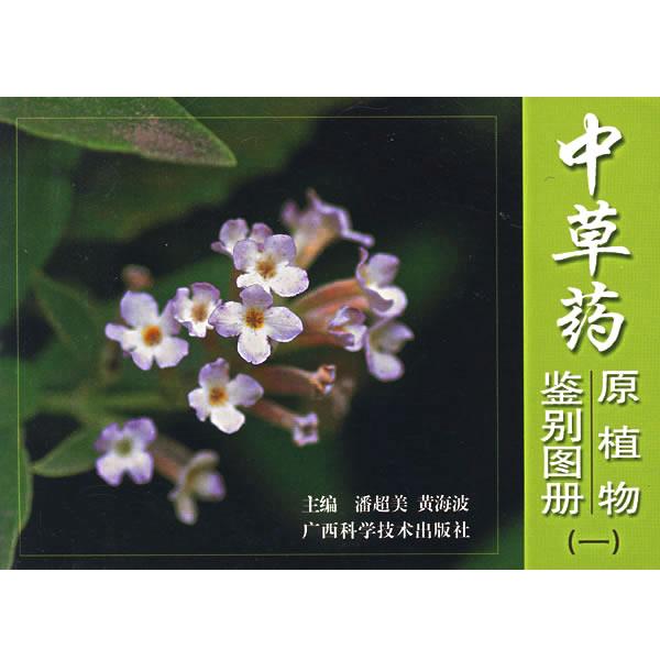 【正版书】 中草药原植物鉴别图册 潘超美,黄海坡　主编 广西科学技术出版社