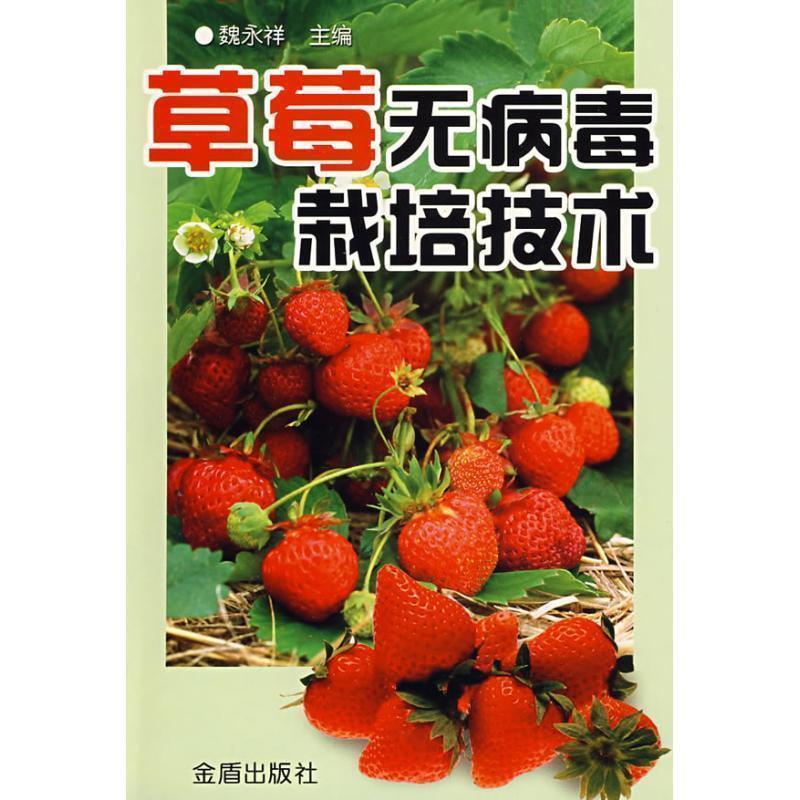 【正版书】 草莓无病毒栽培技术 王升 等 著 金盾出版社
