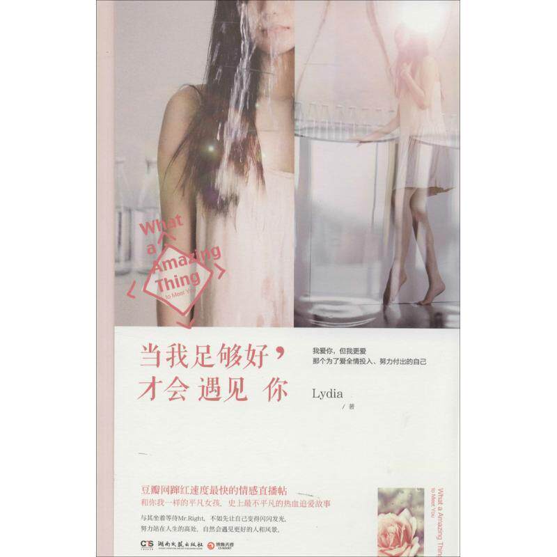 【正版书】 当我足够好,才会遇见你 Lydia 湖南文艺出版社