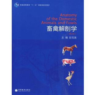 【正版书】 畜禽解剖学 第二版 彭克美　主编 高等教育出版社