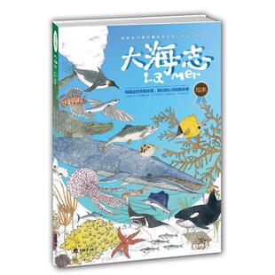 【正版书】 大海志 [法]维尔吉妮.阿拉德基迪 重庆大学出版社