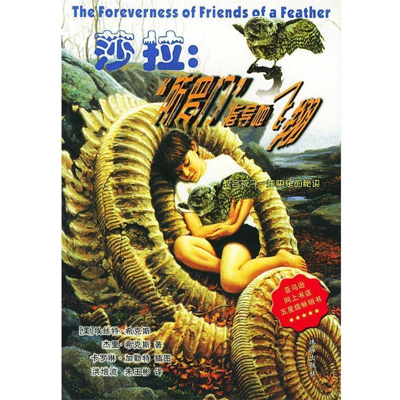 【正版书】 莎拉“所罗门”指导她飞翔 (美)希克斯 著,洪增流,朱玉彬 译 珠海出版社