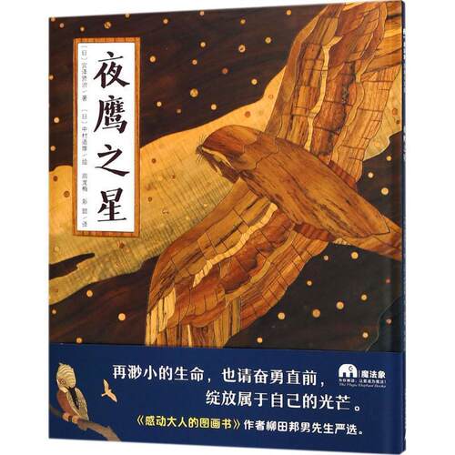 【正版书】 魔法象·图画书王国:夜鹰之星 ：日宫泽贤治著[日]中村道雄绘译者：周龙梅彭懿 广西师范大学出版社